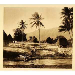 1925 Village Coconut Palm Trees Mexico Photogravure   Original 