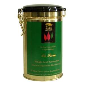 Eden Grove Green Tea Orange, 8g Infuser Tea Bags 20 Count, 5.60 Ounce 