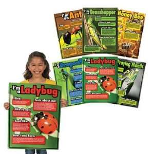  Bugs Learning Charts   Teacher Resources & Posters Office 