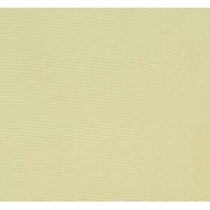  2400 Bayside in Ivory by Pindler Fabric