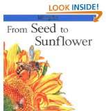 from seed to sunflower lifecycles by gerald legg carolyn scrace 