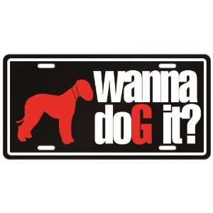   Bedlington Terrier / Wanna Dog It ?  License Plate Dog Home
