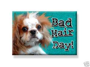 Cavalier King Charles Spaniel Dog Magnet Bad Hair Day  