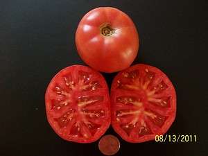 Tomato  SANTIAM  red heirloom  58 day  DET  25 seeds  