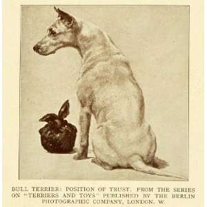  1905 Print Bull Terrier Dog Female Painter Artist Maud 