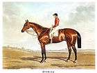 1843 harry hall horse racing painting nutwith derby famous horse