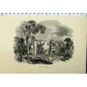  View Biddulph Hall Building Ruins Sheep Victorian Print 
