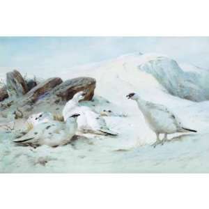 FRAMED oil paintings   Archibald Thorburn   24 x 24 inches   Ptarmigan 