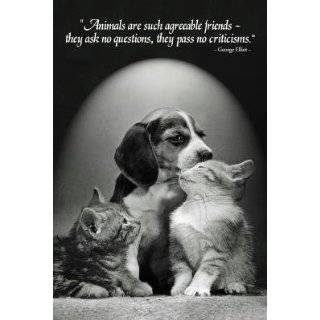  pet quotes