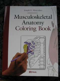 Musculoskeletal Anatomy Coloring Book Massage Therapy  