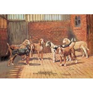  Welsh Hounds 20x30 poster