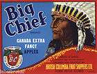 APPLE CRATE LABEL CANADA VERNON BIG CHIEF INDIAN B.C.