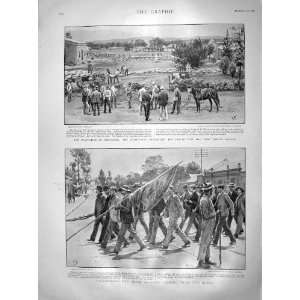   1899 Evacuation Newcastle Laager Irish Brigade Boers