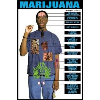  Harmful Effects of Marijuana 24 X 36 Laminated Poster 