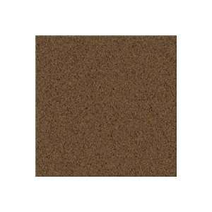   7951505 Coppertone Horizon Charleston Place Acorn Carpet Flooring