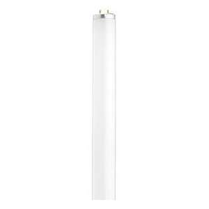   24541 F40/D41/Eco 40w Fluorescent W/ Medium Bi Pin Base   Cool White