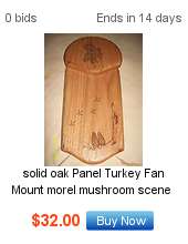 MOREL MUSHROOM TURKEY FAN MOUNT PANEL VERY IMPRESSIVE  