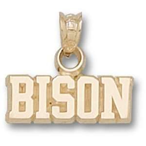   North Dakota State Bison 3/16 Pendant (Gold Plated) Sports
