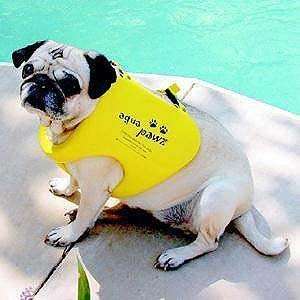  Aqua Paws Dog Life Jacket Small 11 15 In