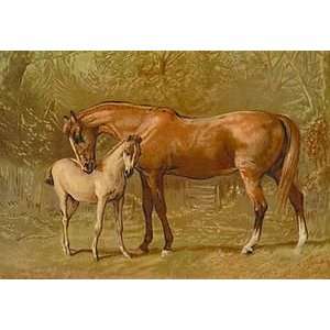  Thoroughbred Mare and Foal   Paper Poster (18.75 x 28.5 