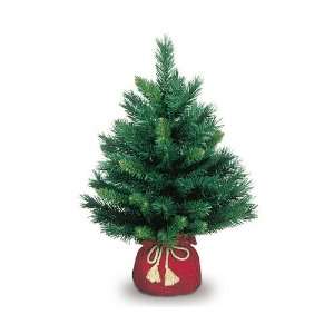  24 Majestic Fir Tree in Red Cloth Bag 