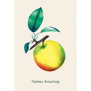  Exclusive By Buyenlarge Talman Sweeting 20x30 poster