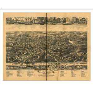 Historic Tallapoosa, Georgia, c. 1892 (L) Panoramic Map Poster Print 