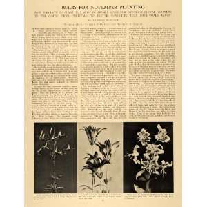   Bulb Planting Thomas McAdam   Original Print Article