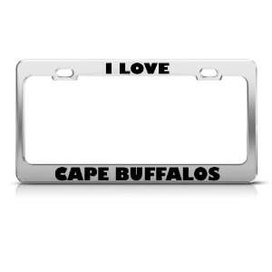  I Love Cape Buffalos Buffalo Animal License Plate Frame 