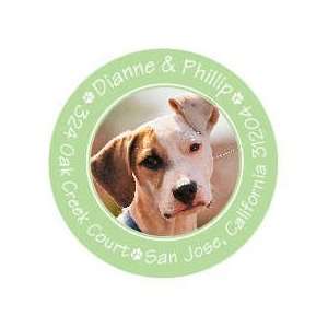  Cute Paw Prints Green Pet Photo Sticker Round Sticker 