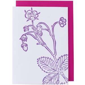  Strawberry Letterpress Notecards