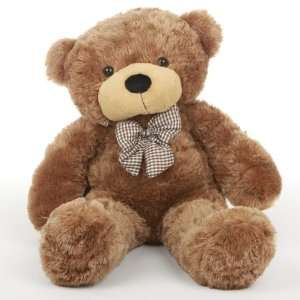  Sunny Cuddles Soft and Huggable Mocha Brown Teddy Bear 