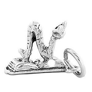   Sterling Silver Three Dimensional Book Worm Open Book Charm Jewelry