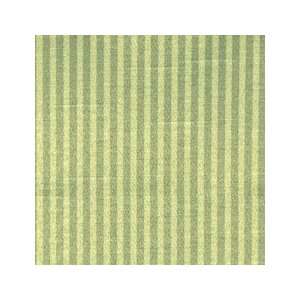  Stripe Green 41819 2 by Duralee