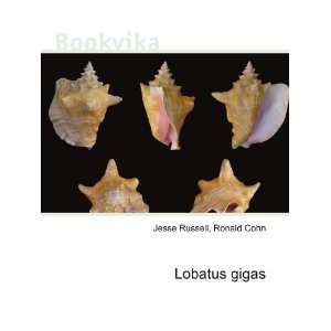  Lobatus gigas Ronald Cohn Jesse Russell Books