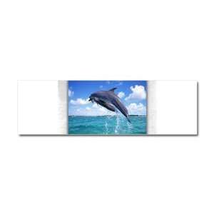  Car Magnet 10 x 3 Dolphins Singing 