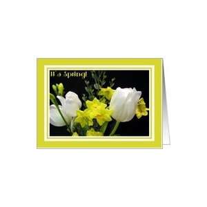 Seasons   Spring, Tulips & Narcissi Card