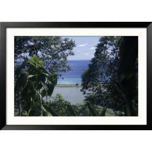 Jungle View of Pacific Ocean, Carate, Costa Rica Scenic Framed 