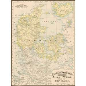  McNally 1893 Antique Map of Denmark