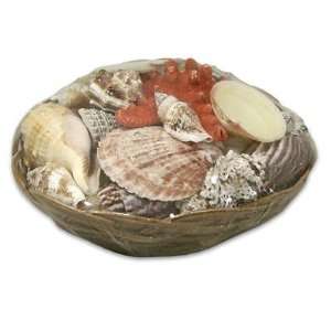 Seashells & Starfish Basket 8D