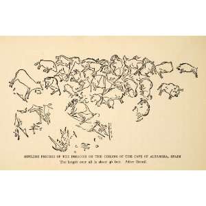  1927 Print Cave Painting Altamira Spain Bison Herd Hunt 