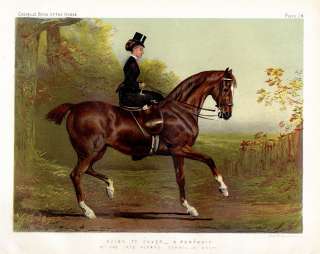 LADIES IN THE HUNTING FIELD ON HORSEBACK, HORSE FASHION  