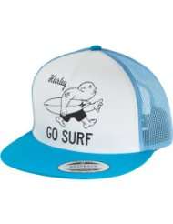  hats hurley   Clothing & Accessories