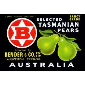  Bender & Co. Selected Tasmanian Pears 12x18 Giclee on 
