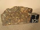   Meteorite Hunting Tool items in Outer Space Rocks 