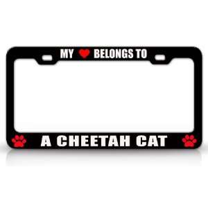  MY HEART BELONGS TO A CHEETAH Cat Pet Auto License Plate 