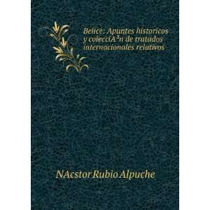   de tratados internacionales relativos . NAcstor Rubio Alpuche Books