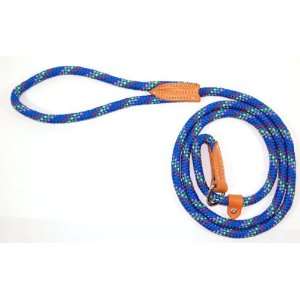   Lead and Choke Collar for Dogs, Blue Confetti Weave