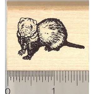  Small Smidgeon Ferret Rubber Stamp Arts, Crafts 