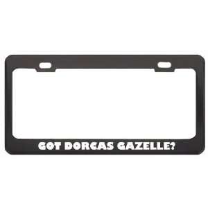  Got Dorcas Gazelle? Animals Pets Black Metal License Plate 